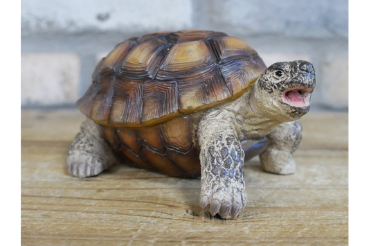 Small Tortoise Ornament | Charming Animal Decor for Home or Garden