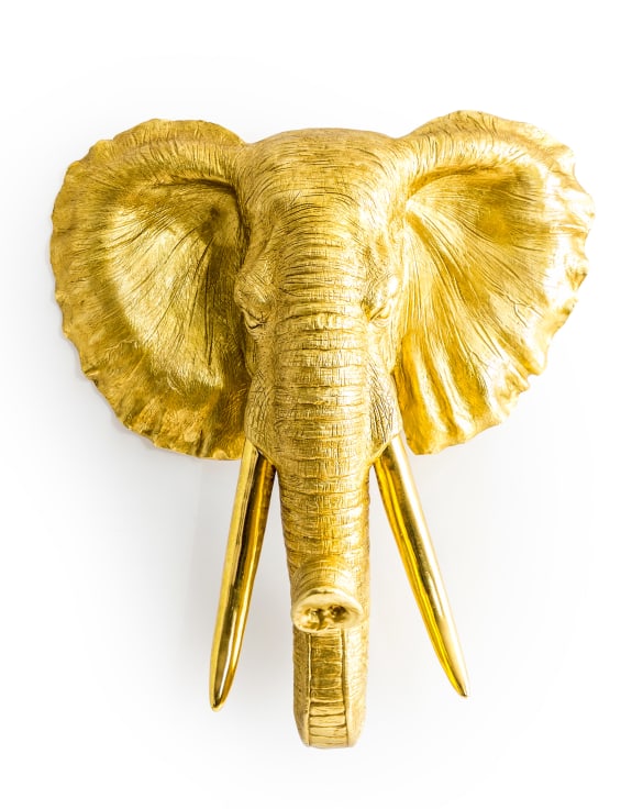 Extra Large Antique Gold Elephant Wall Head – Majestic Resin Sculpture | Sign of the times Stoke