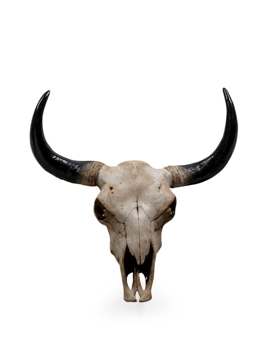 Large Bison Skull Wall Head – Stunning Wall-Mounted Bison | Sign of the times Stoke