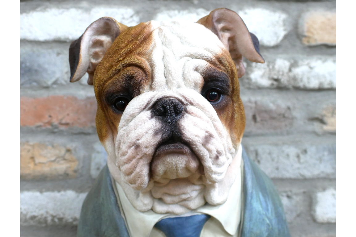 Large Bulldog Bust – Bold & Distinguished Dog Sculpture