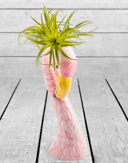 Small Ceramic Pink Flamingo Head Vase – Quirky Tropical Décor
