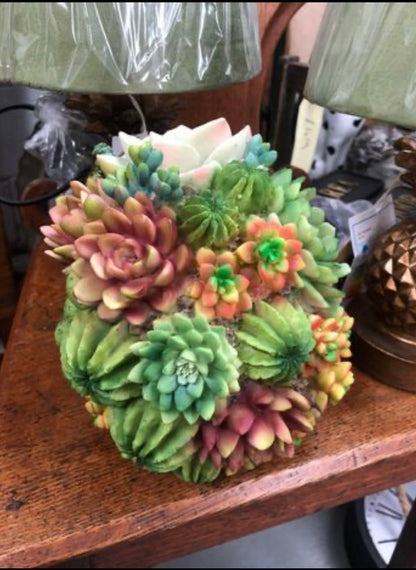 Flowered Skull - Unique Resin Skull Decor with Succulent Accents | Sign of the times Stoke