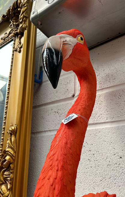 Stunning Flamingo Wall Mount – Vibrant and Cheerful Wall Décor | Sign of the times Stoke