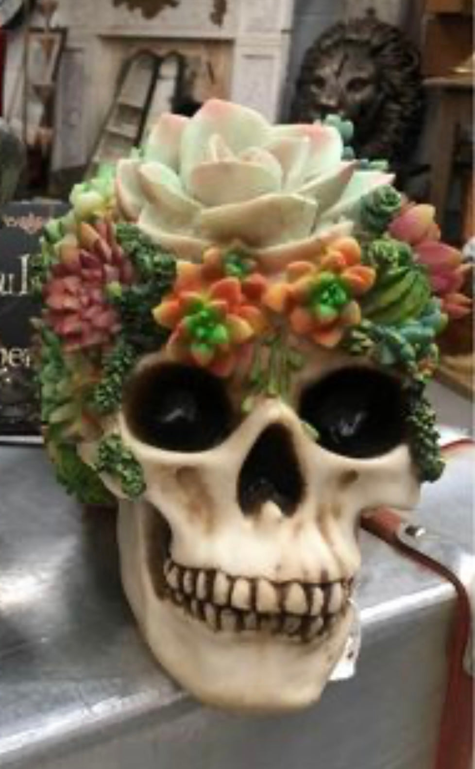 Flowered Skull - Unique Resin Skull Decor with Succulent Accents | Sign of the times Stoke