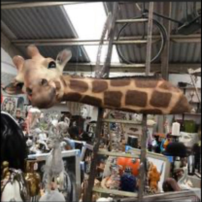 Large Giraffe Wall Mount - Versatile Resin Giraffe Sculpture | Sign of the times Stoke