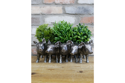 Pig Planter | Whimsical Animal Plant Pot for Indoors or Garden