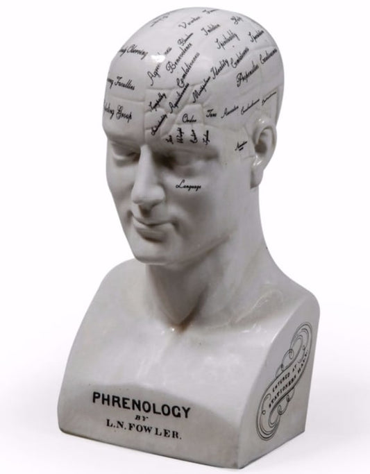 Large Antiqued Ceramic Phrenology Head – Vintage Statement Decorative Ornament