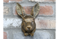 Rabbit Head – Decorative Rabbit Wall Mount