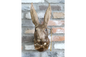 Rabbit Head Wall Decoration – Statement Animal Wall Sculpture
