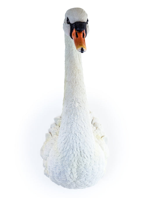 Elegant Swan Wall Mount – Realistic Resin Wall Art | Sign of the times Stoke