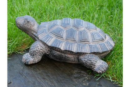 Decorative Tortoise Ornament – Nature-Inspired Home & Garden Décor