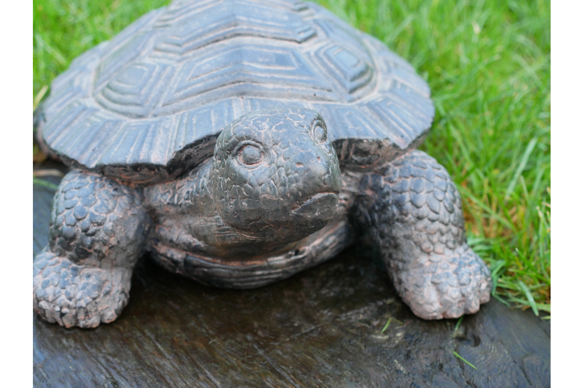 Decorative Tortoise Ornament – Nature-Inspired Home & Garden Décor