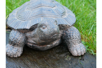 Decorative Tortoise Ornament – Nature-Inspired Home & Garden Décor