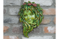 Treewoman Wall Decoration – Nature-Inspired Wall Art Sculpture | Sign of the times Stoke