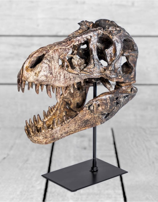 T-Rex Dinosaur Head Sculpture on Stand – Striking Prehistoric Décor