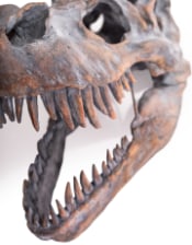 Extra Large T-Rex Dinosaur Head Wall Mount - Majestic Prehistoric Decor