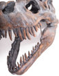 Extra Large T-Rex Dinosaur Head Wall Mount - Majestic Prehistoric Decor