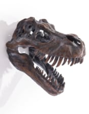 Extra Large T-Rex Dinosaur Head Wall Mount - Majestic Prehistoric Decor