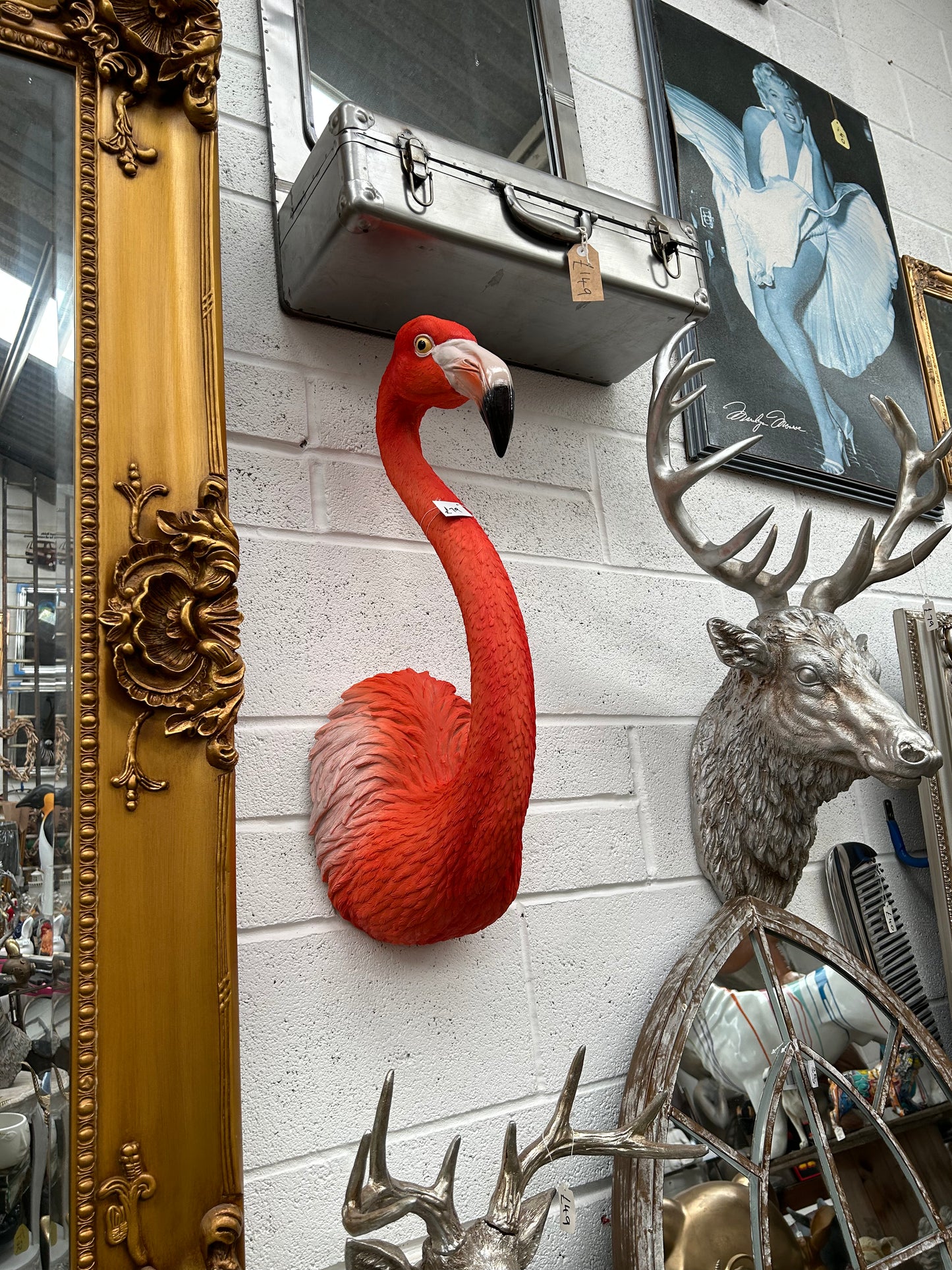 Stunning Flamingo Wall Mount – Vibrant and Cheerful Wall Décor | Sign of the times Stoke