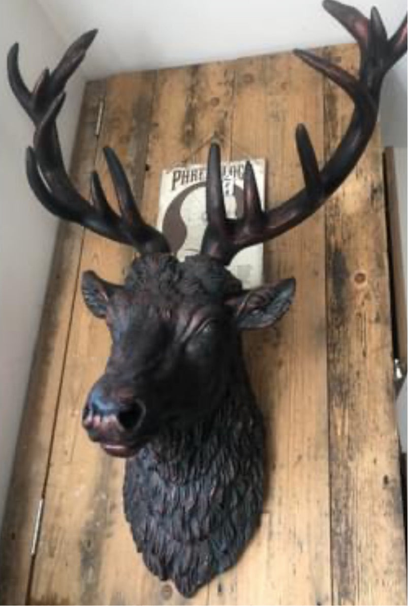 Bronze Stag Head Wall Sculpture - Elegant Resin Decor | Sign of the times Stoke