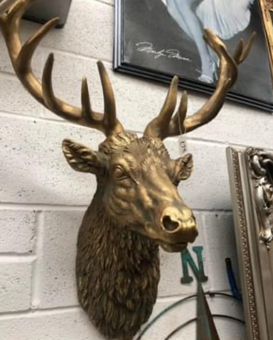 Gold Stags Head
