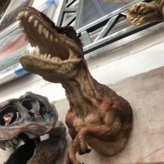 Incredible Dinosaur Wall Mount - Stunning Resin Dinosaur Wall Sculpture | Sign of the times Stoke