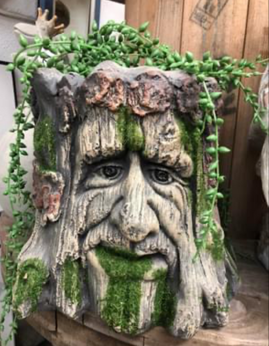 Tree Stump Planter - Charming Resin Planter | Sign of the times Stoke