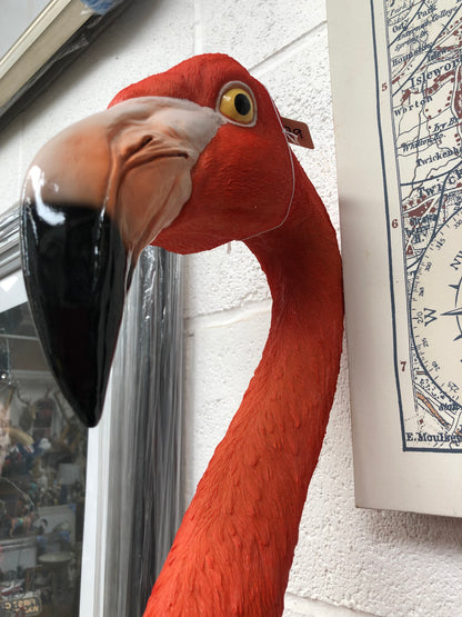 Stunning Flamingo Wall Mount – Vibrant and Cheerful Wall Décor | Sign of the times Stoke