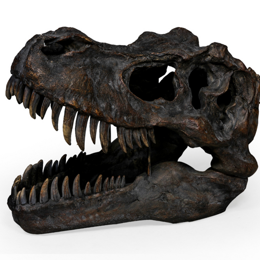 T. Rex Dinosaur Head
