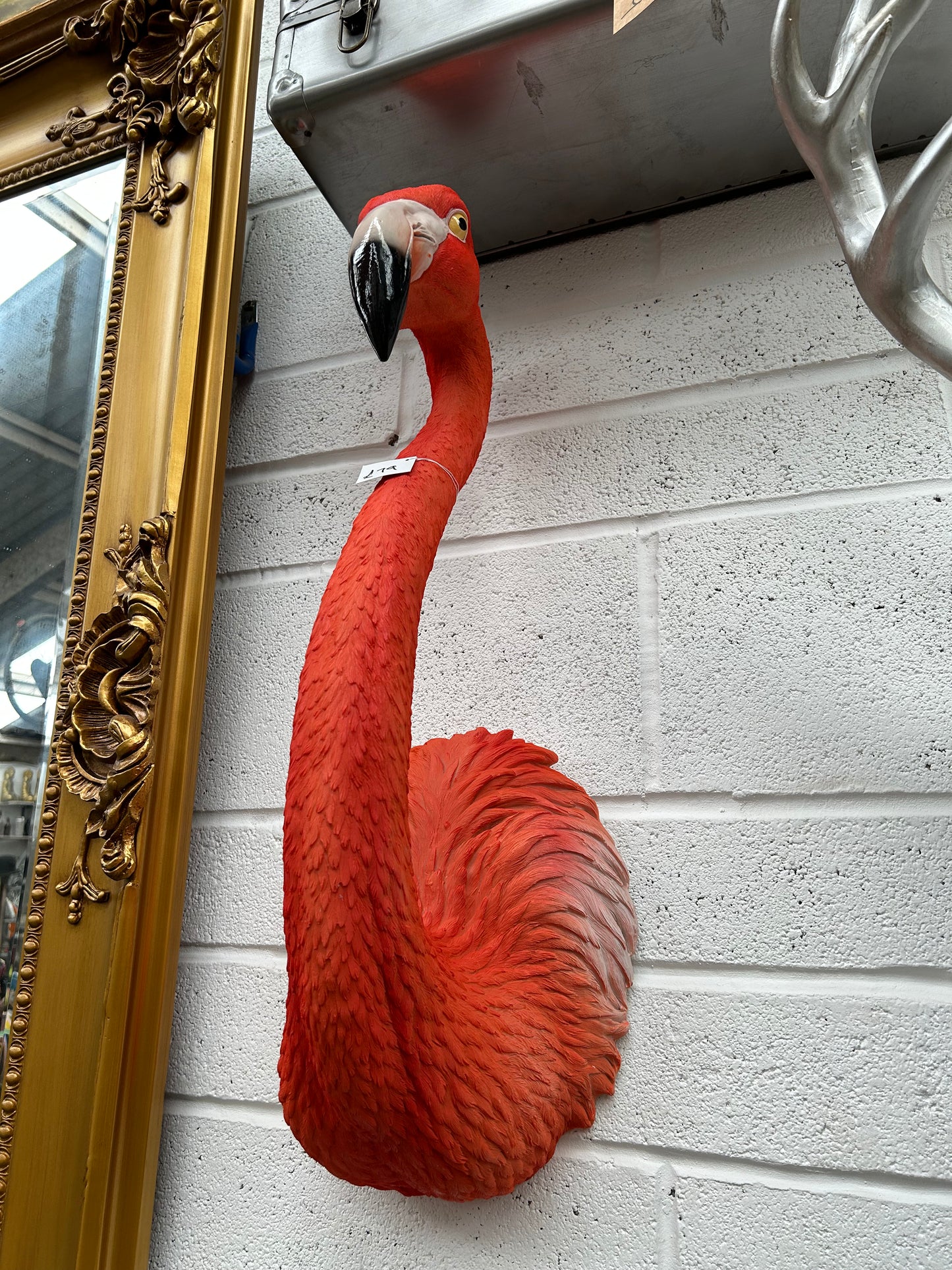 Flamingo Wall Wount