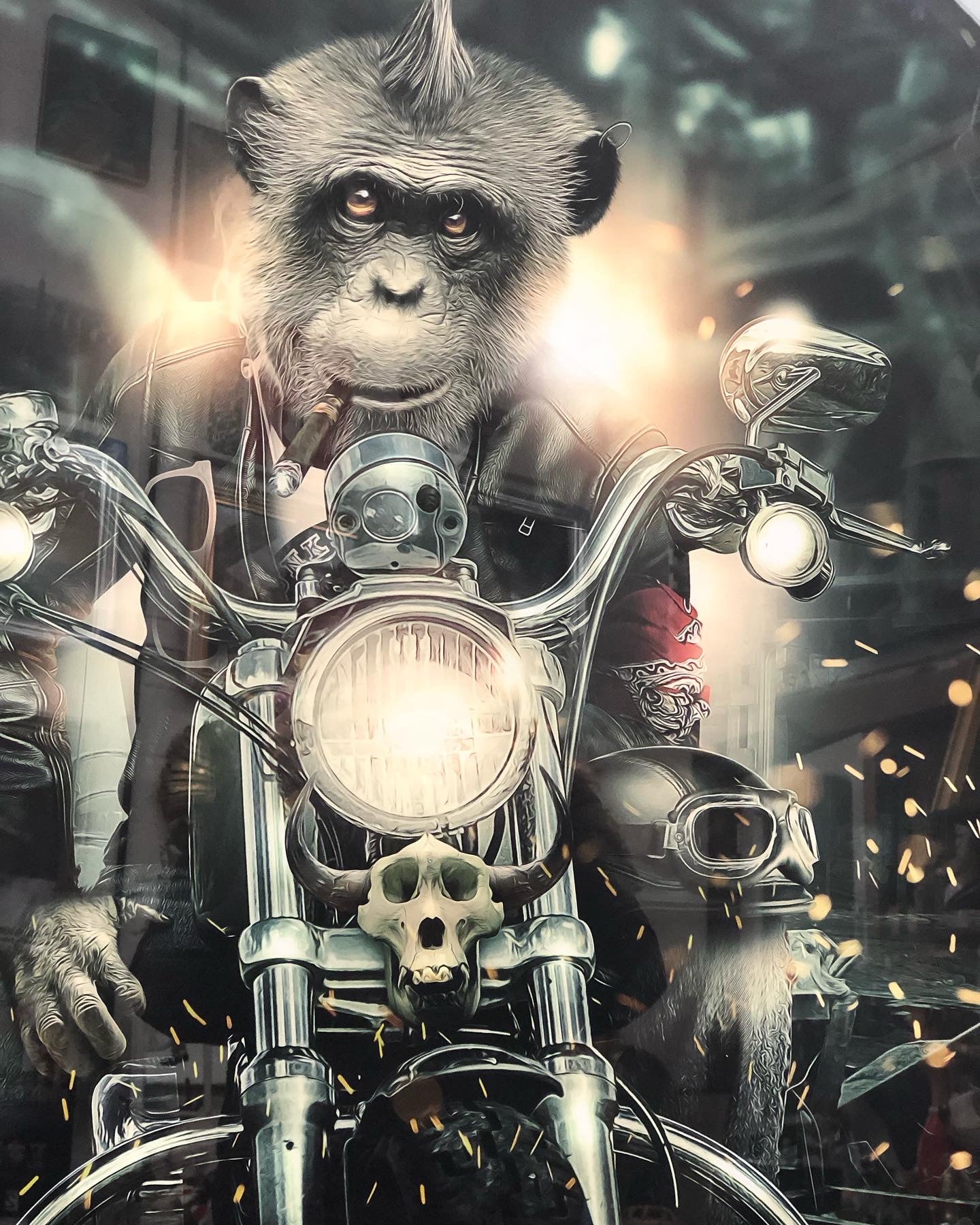 “Biker Monkey” Art Print by Sylvain Binet – Stunning Large Picture | Sign of the times Stoke