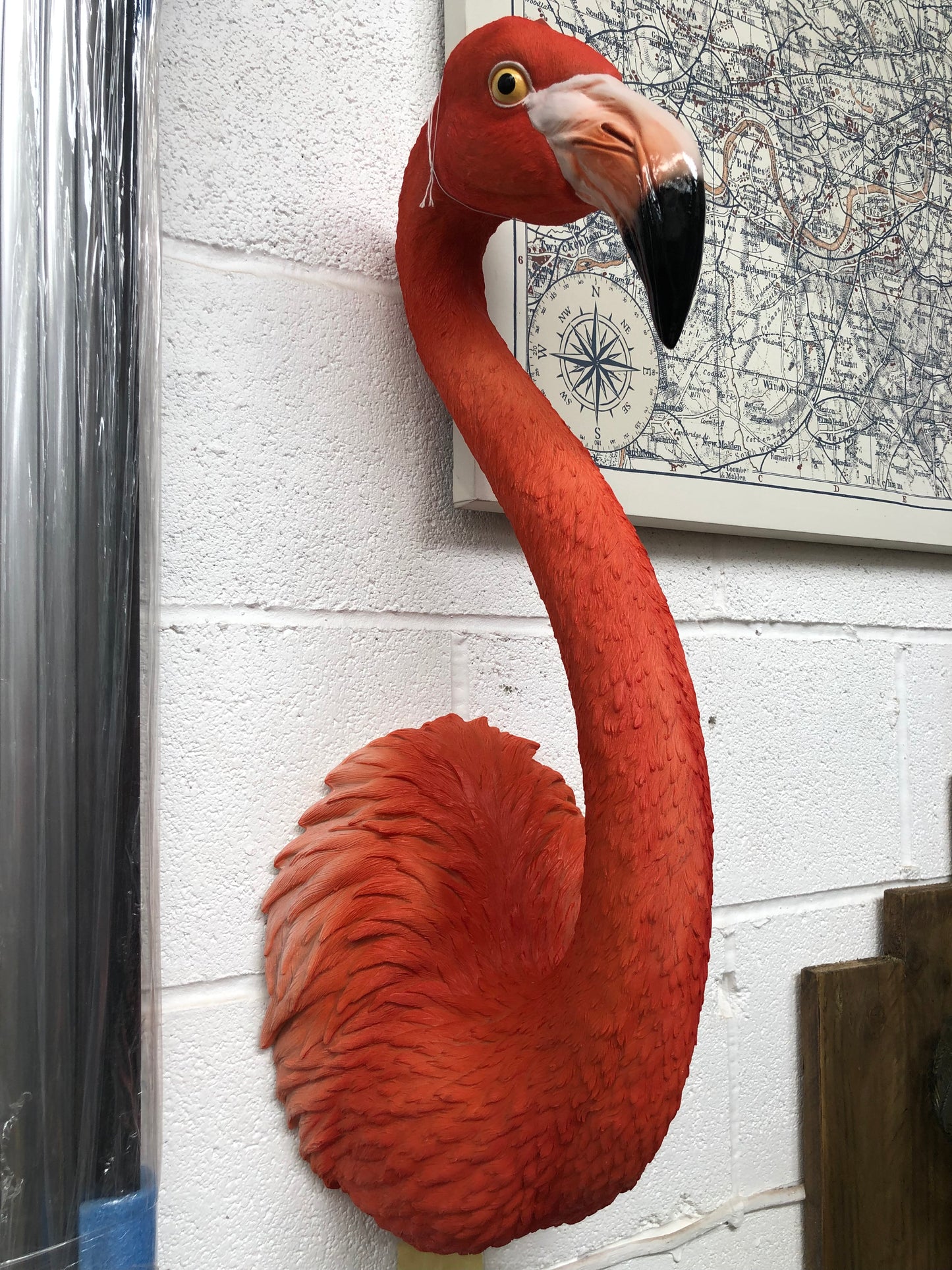 Stunning Flamingo Wall Mount – Vibrant and Cheerful Wall Décor | Sign of the times Stoke