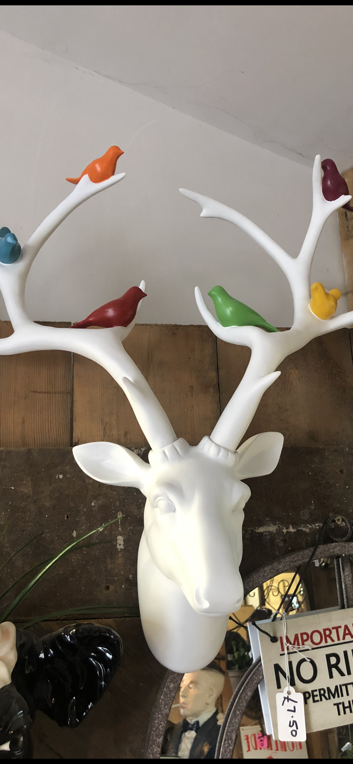 White Stag Head Wall Mount with Coloured Birds – Gloss Resin Decoration | Sign of the times Stoke