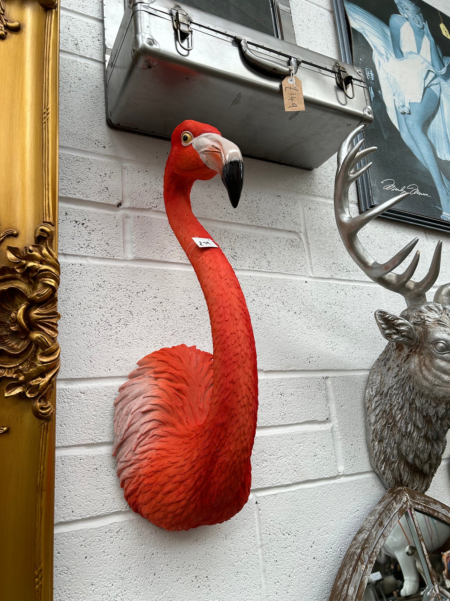 Stunning Flamingo Wall Mount – Vibrant and Cheerful Wall Décor | Sign of the times Stoke