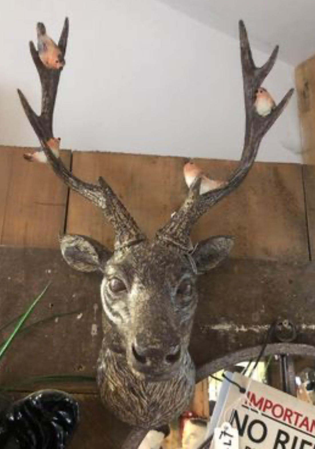 Rustic Brown Stag Head with Robins – Resin Wall Decor | Sign of the times Stoke