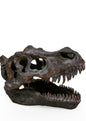 T-Rex Dinosaur Head Wall Mount - Stunning Prehistoric Decor | Sign of the times Stoke