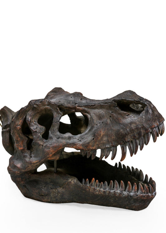 T Rex Dinosaur Head
