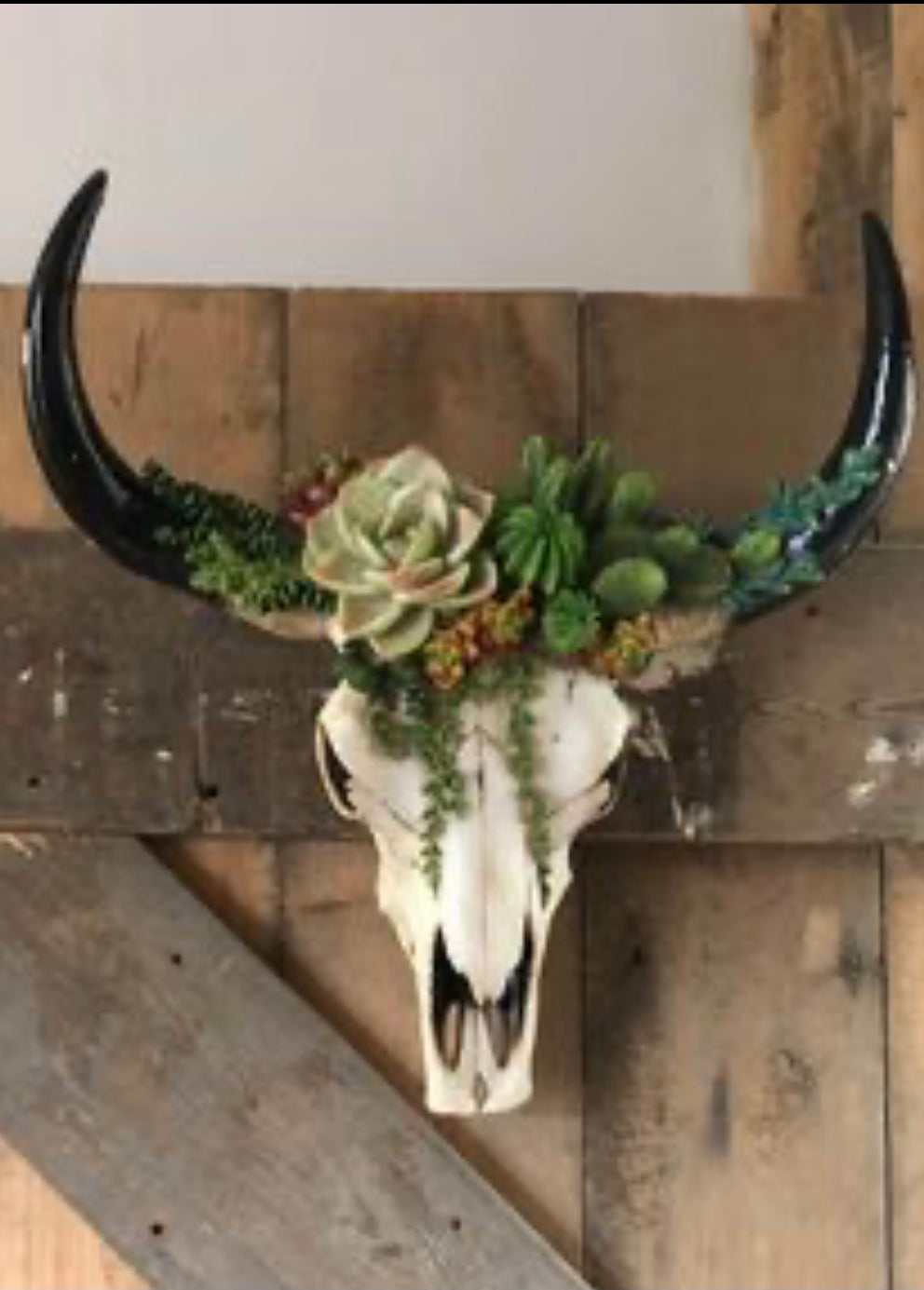 Floral Skull Wall Mount