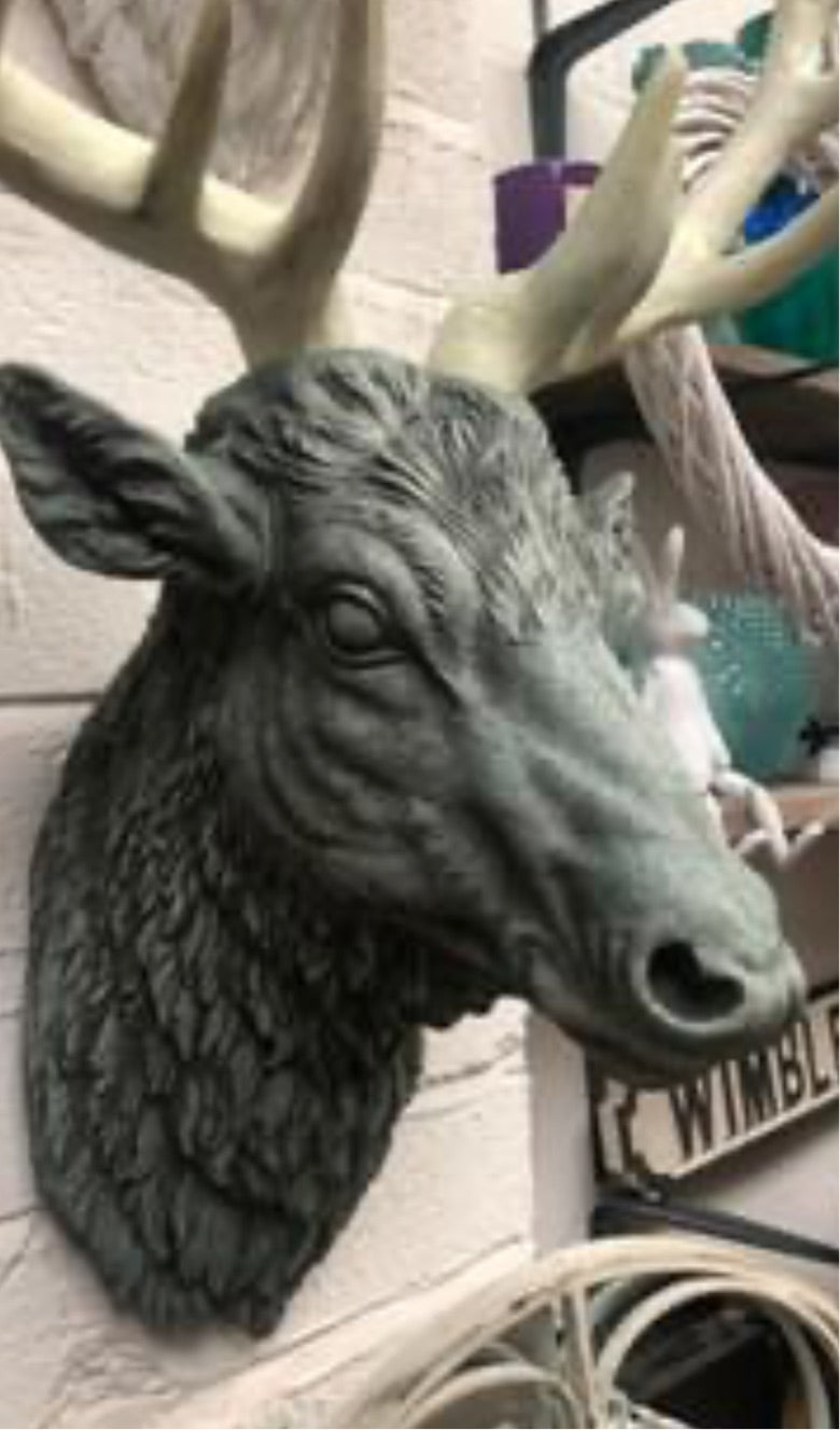 Stone Green Stag Head Wall Mount - Elegant Resin Stag with Cream Antlers | Sign of the times Stoke